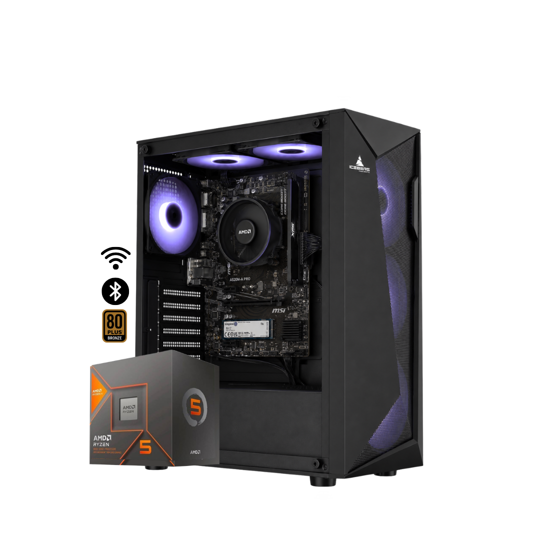 TORRE FENIX PLUS / RYZEN 5 8600G + 16GB DDR5 + NVMe 512GB + FTE 600W Bz + B650/B840 WIFI & BT